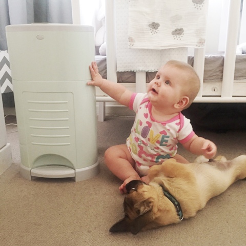 korbell nappy bin review + giveaway