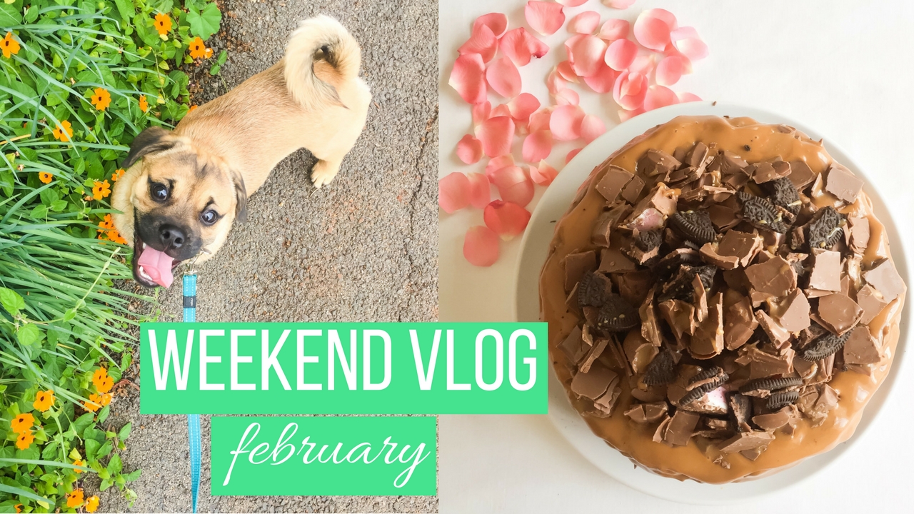 weekend vlog – February
