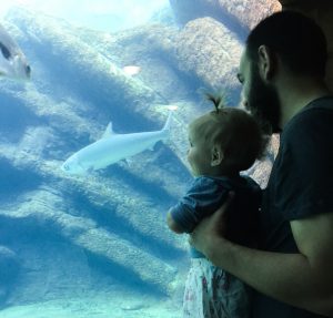 WHAT TO DO IN DURBAN WITH TODDLERS - Sea World at uShaka Marine World 