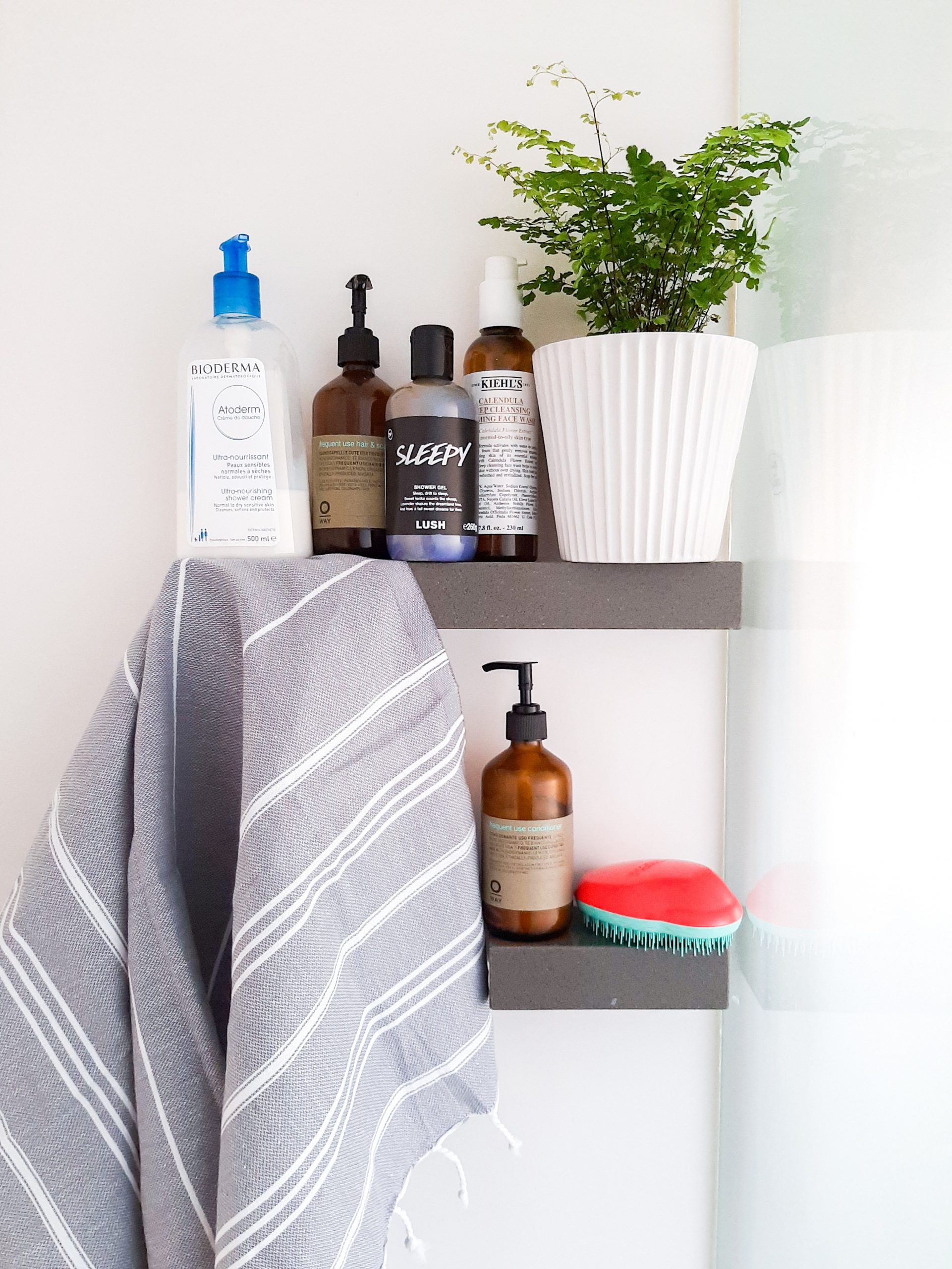 Five Favourites Products in My Shower